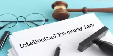 The History and Evolution of Intellectual Property Laws